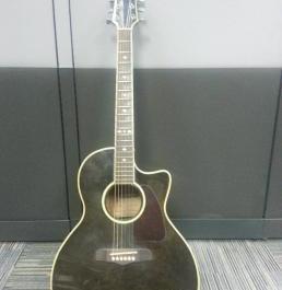 Fernando Acoustic Guitar with Built-in Tuner photo