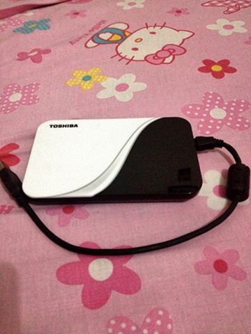 Toshiba External Harddrive 500GB photo