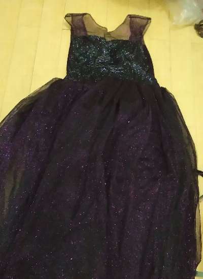 Gown and Disney Costume photo