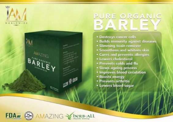 AMazing Pure Organic Barley photo
