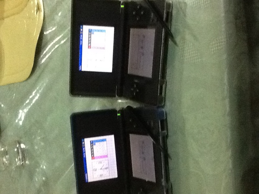 Nintendo DS lite photo