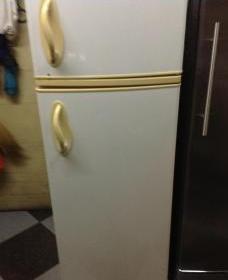 2 Door Condura Refrigerator photo