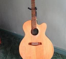 Acoustic Guitar with Pick-up and EQ photo
