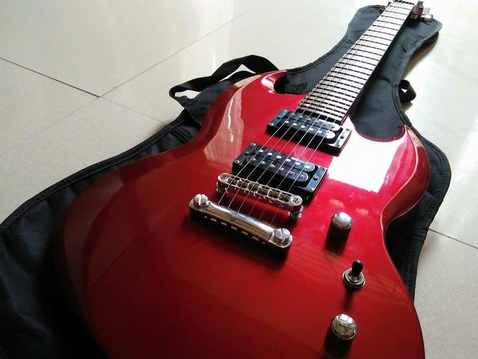 LTD Viper 50 Black Cherry Electric Guitar photo