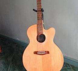 Acoustic Guitar with Pick-up and EQ