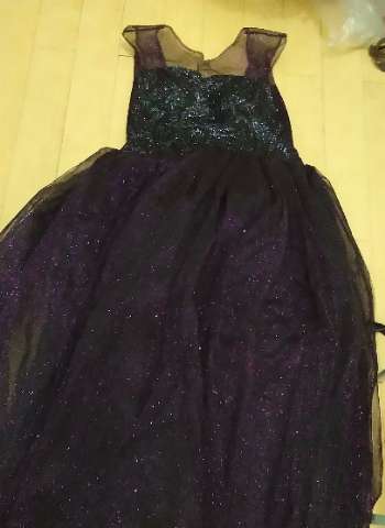 Gown and Disney Costume