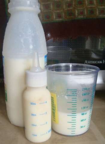 Fresh Goats Milk Nutritious Alternative for your Pups Milk