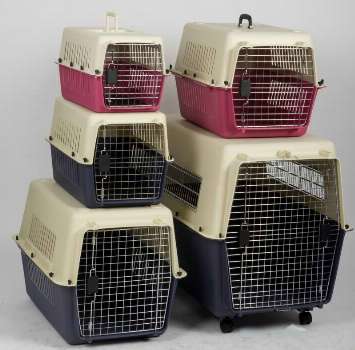  SSD STRONG STURDY & DURABLE PET CARRIERS ALL BRAND NEW SALE