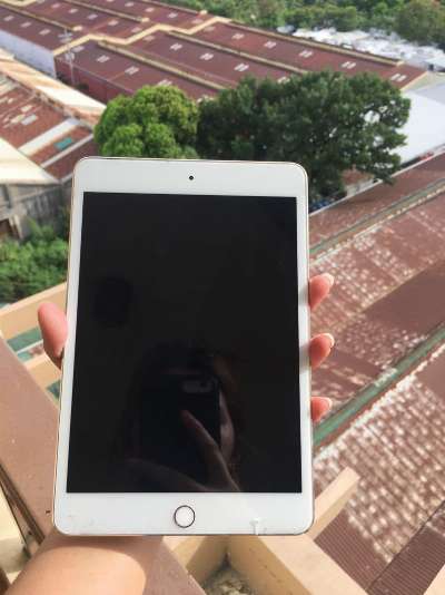 Ipad Mini 4 16GB photo