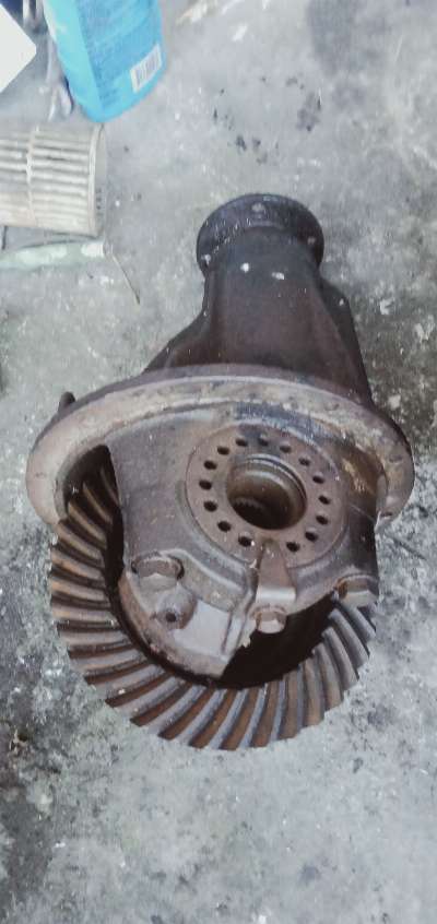 L300 differential (Bungo) photo
