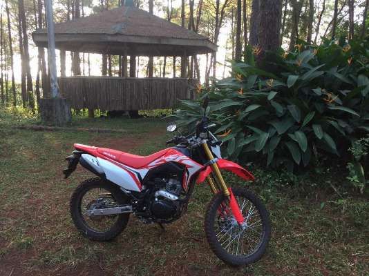 Honda crf 150l 2021 photo