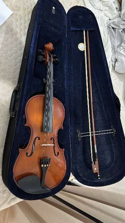 Violin V-100 photo