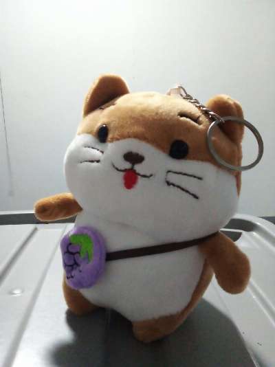 Keychain Stuff Toy photo