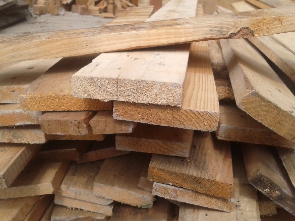 For sale palochina wood, pine wood photo