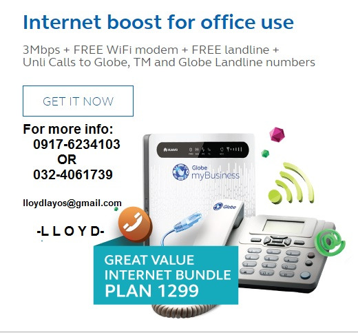 Internet Business Globe Broadband Connection photo