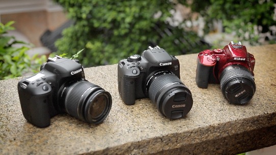 Canon EOS Nikon photo