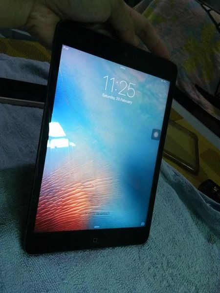 iPad Mini 16gb Wifi Only photo