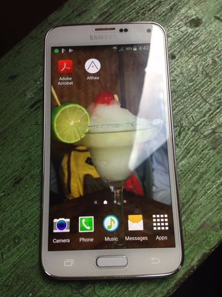 Samsung Galaxy S5 (SM-G900F) White photo