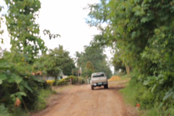 LOT FOR SALE (RESIDENTIAL/AGRICULTURAL) photo