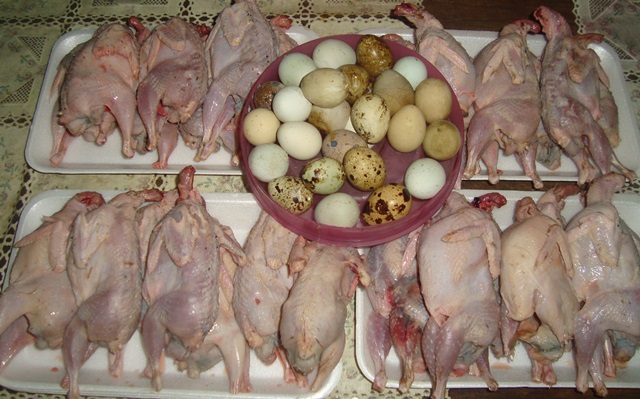 Quail meat for your Parties try the native Filipino Delicacy photo