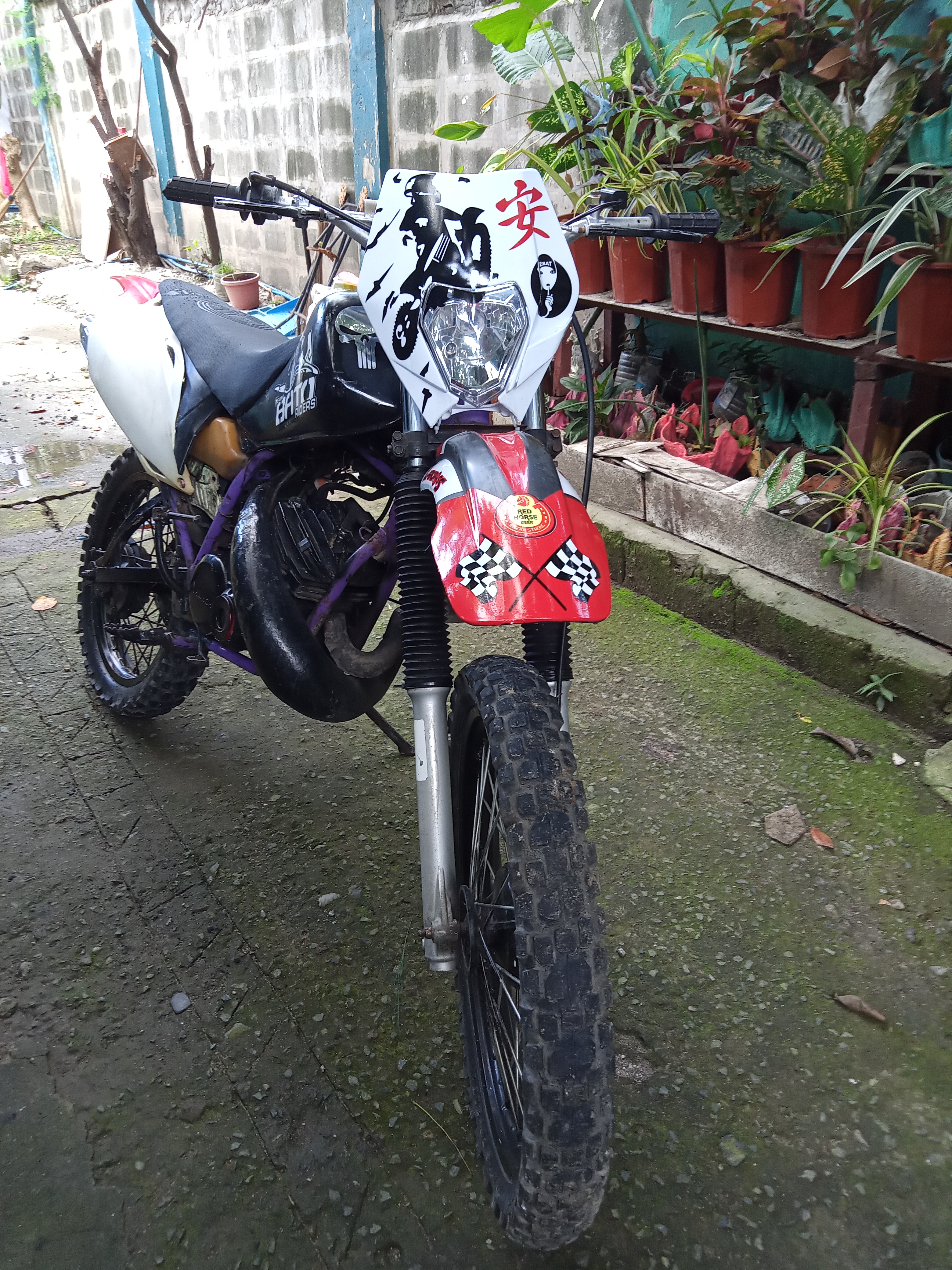 DT YAMAHA 125 for trail photo