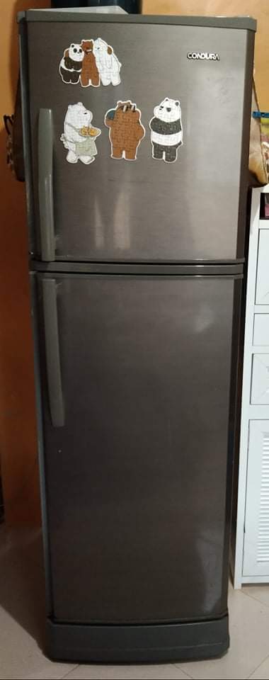 Condura 9.8 cubic feet refrigerator photo