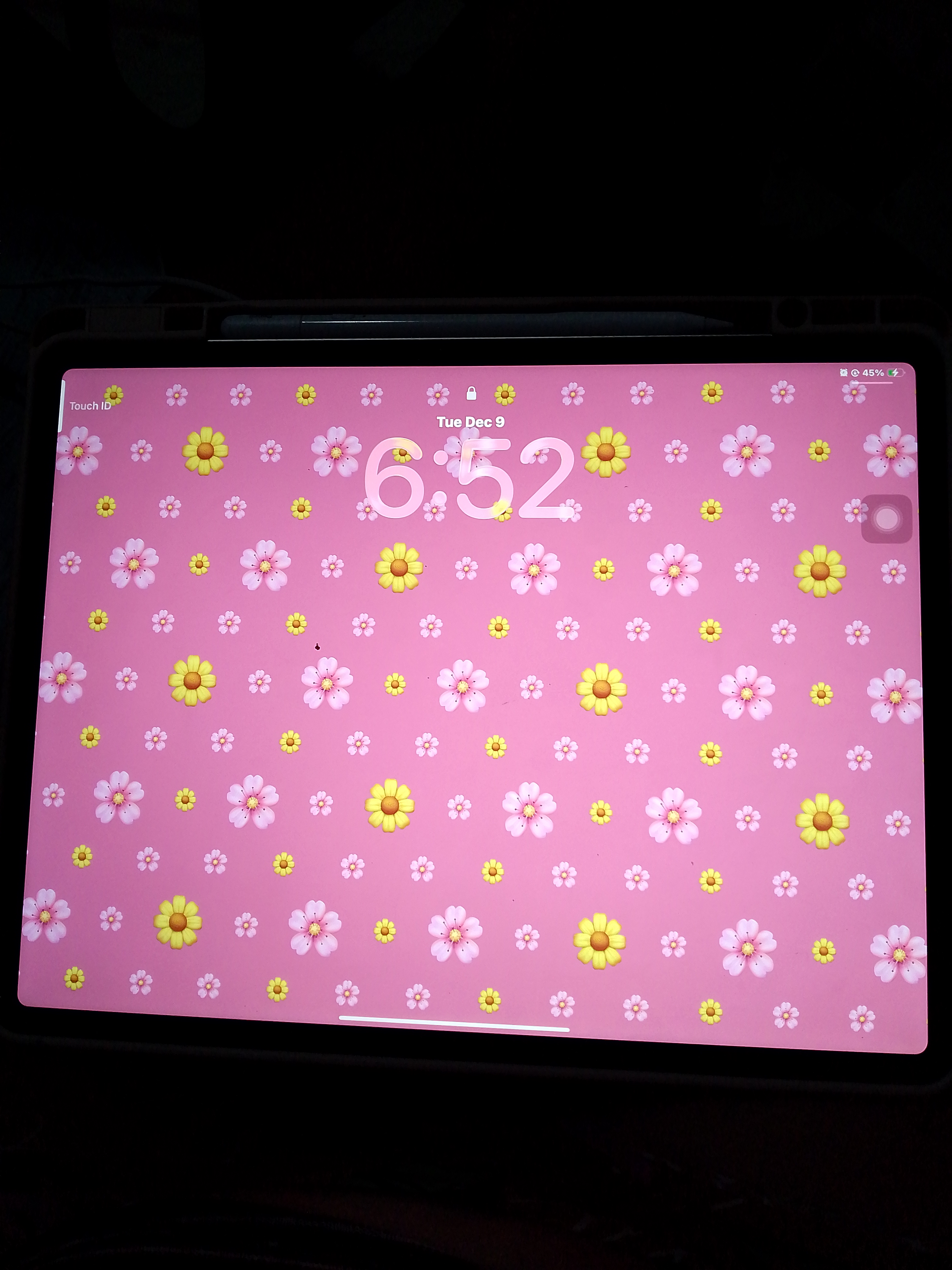 Ipad Air M3 13 inch photo