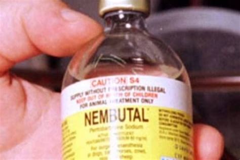 ✔️ Kaufen Sie NEMBUTAL PENTOBARBITAL-NATRIUM photo